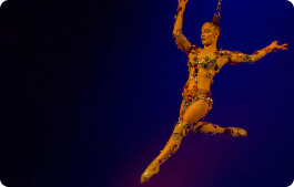 Cirque du Soleil
