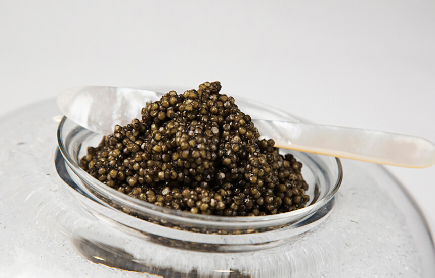 Caviar Russe